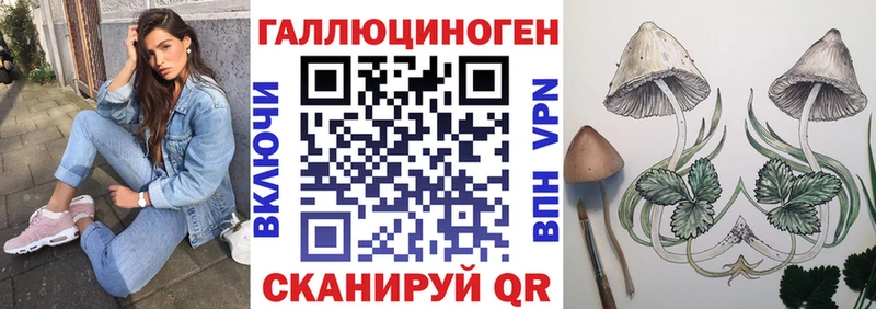 Галлюциногенные грибы мухоморы  darknet Telegram  Мурманск 
